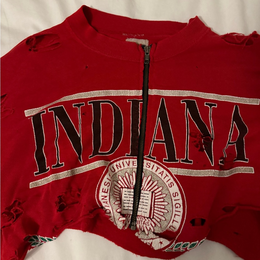 LF Furst of a Kind Vintage Distressed Cropped Sweatshirt Indiana Hoosiers - Picture 2 of 4